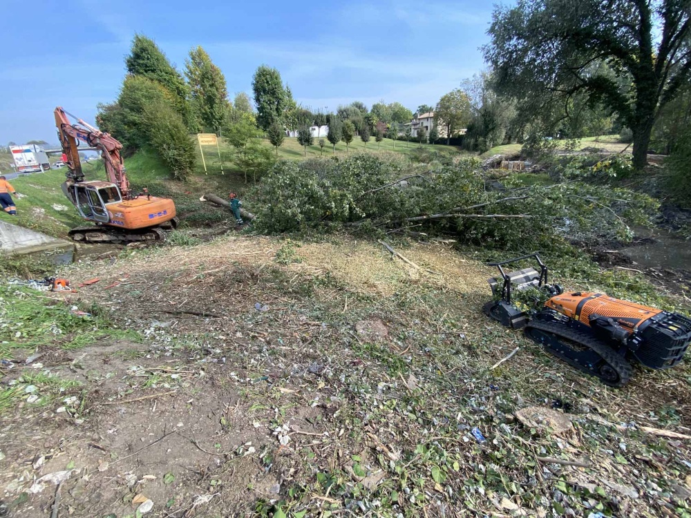 lavori forestali padova